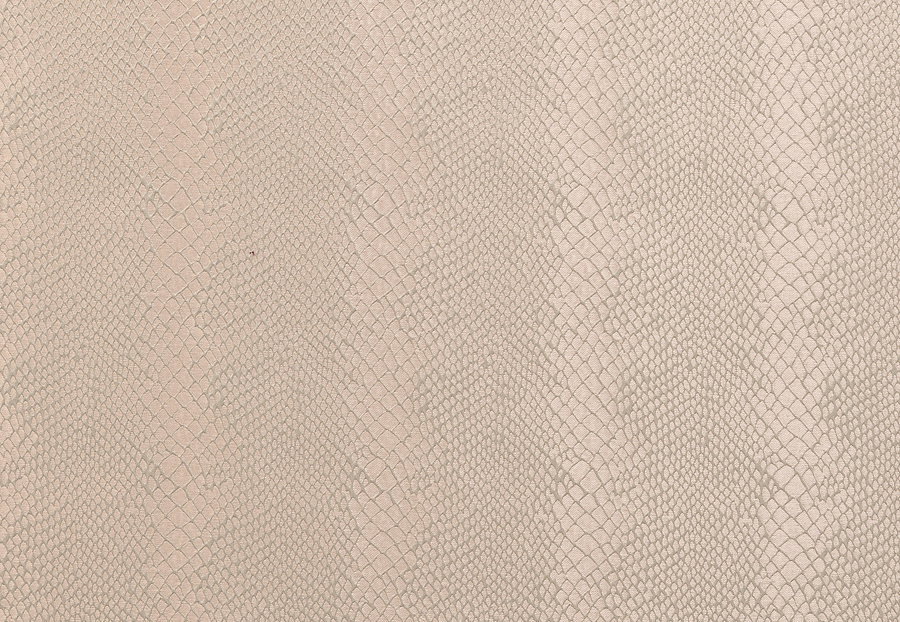 Ткань Clarke & Clarke Floribunda F0455/01