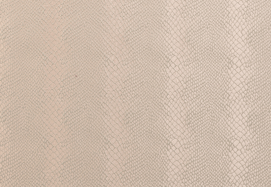 Ткань Clarke & Clarke Floribunda F0455/01