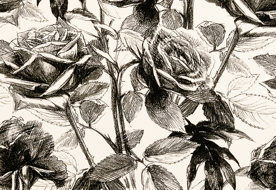 Ткань Clarke & Clarke Floribunda F0474/02