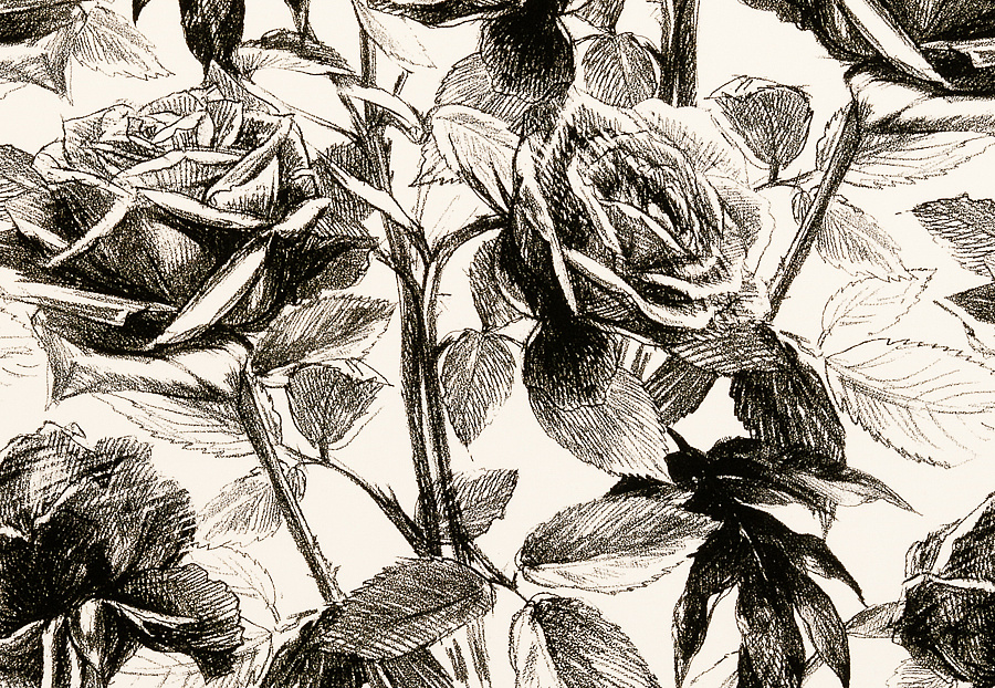 Ткань Clarke & Clarke Floribunda F0474/02