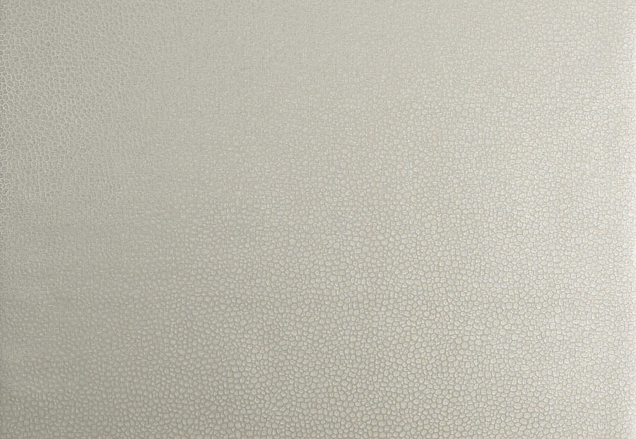 Обои Trend Vern Yip W30016/01
