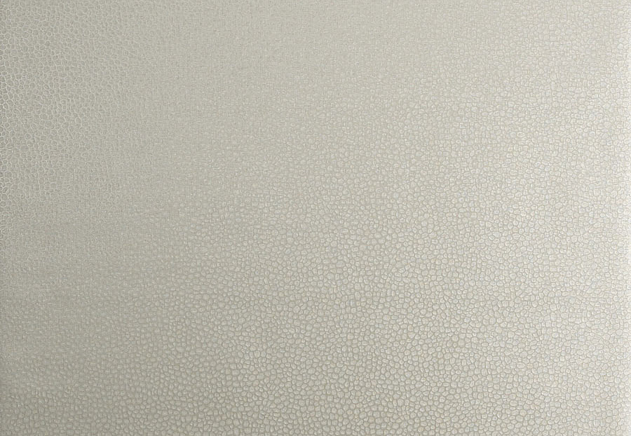 Обои Trend Vern Yip W30016/01