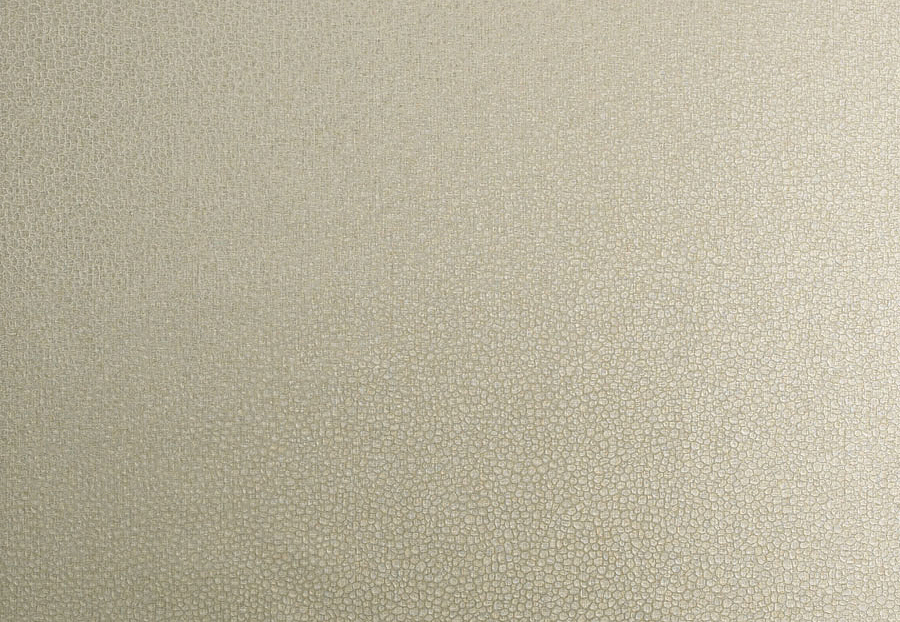 Обои Trend Vern Yip W30016/02