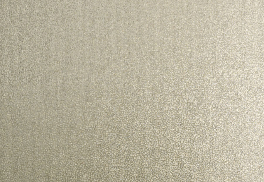 Обои Trend Vern Yip W30016/02