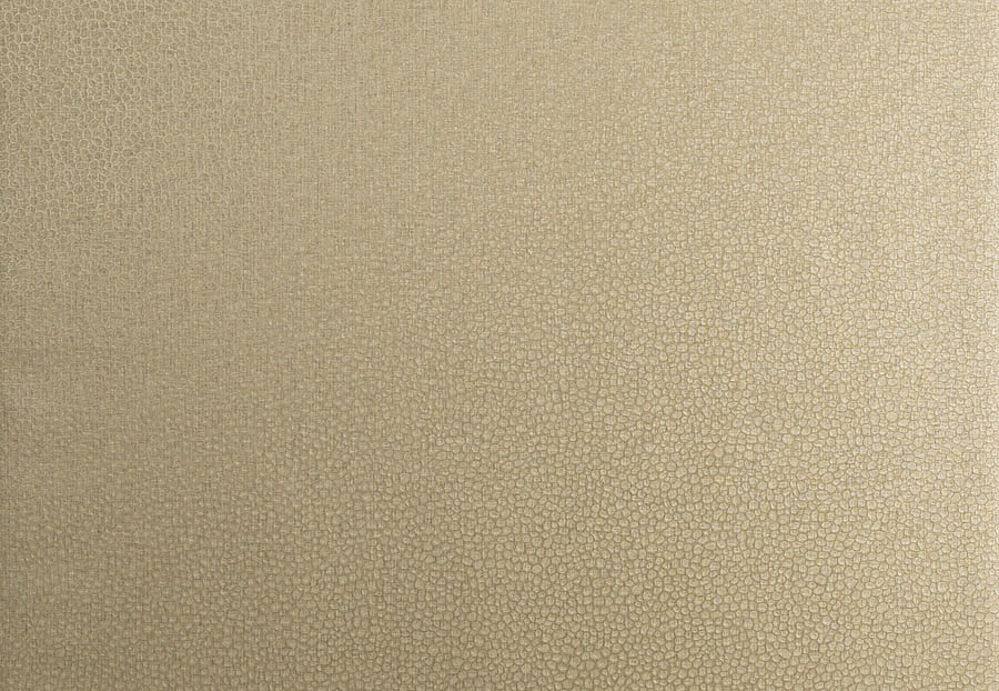 Обои Trend Vern Yip W30016/05