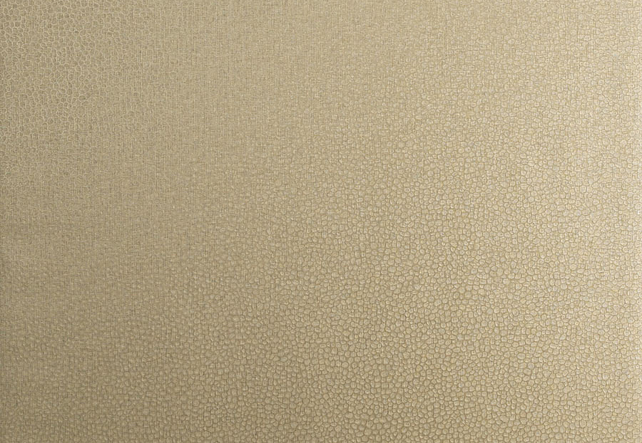 Обои Trend Vern Yip W30016/05