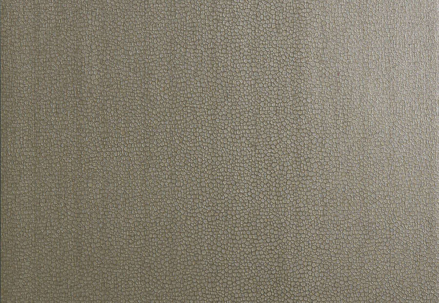Обои Trend Vern Yip W30016/06
