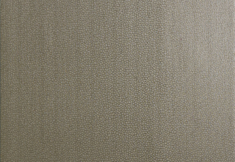 Обои Trend Vern Yip W30016/06