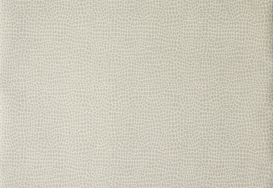 Обои Trend Jaclyn Smith Home 30020W/02