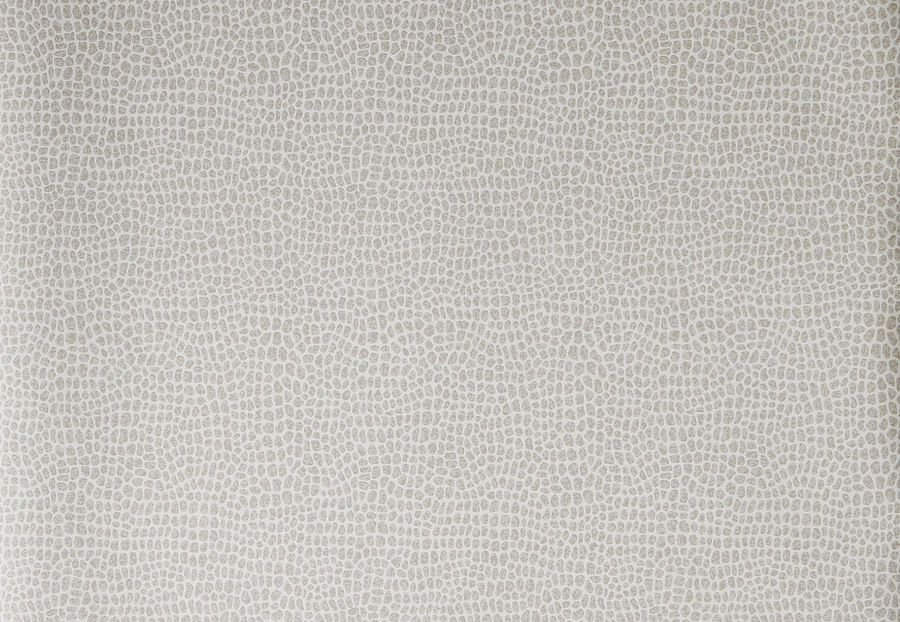 Обои Trend Jaclyn Smith Home 30020W/04
