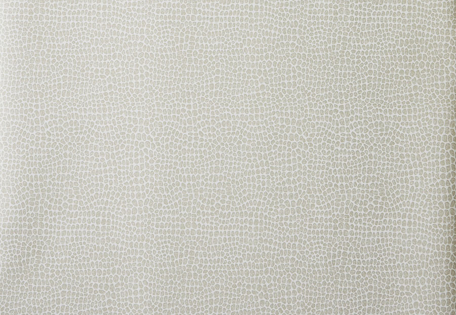 Обои Trend Jaclyn Smith Home 30020W/05