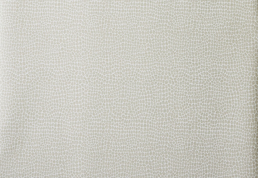 Обои Trend Jaclyn Smith Home 30020W/05