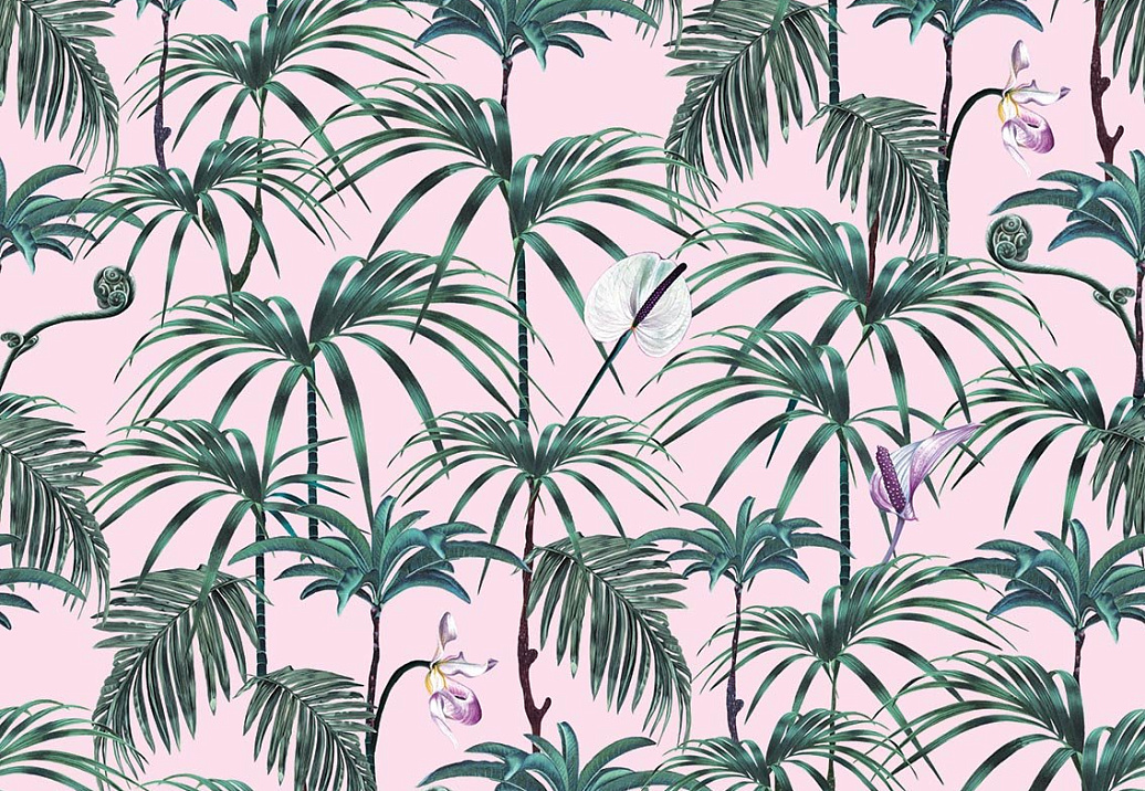 Обои Witch & Watchman Wallpaper Collection Elysian Palms Pink