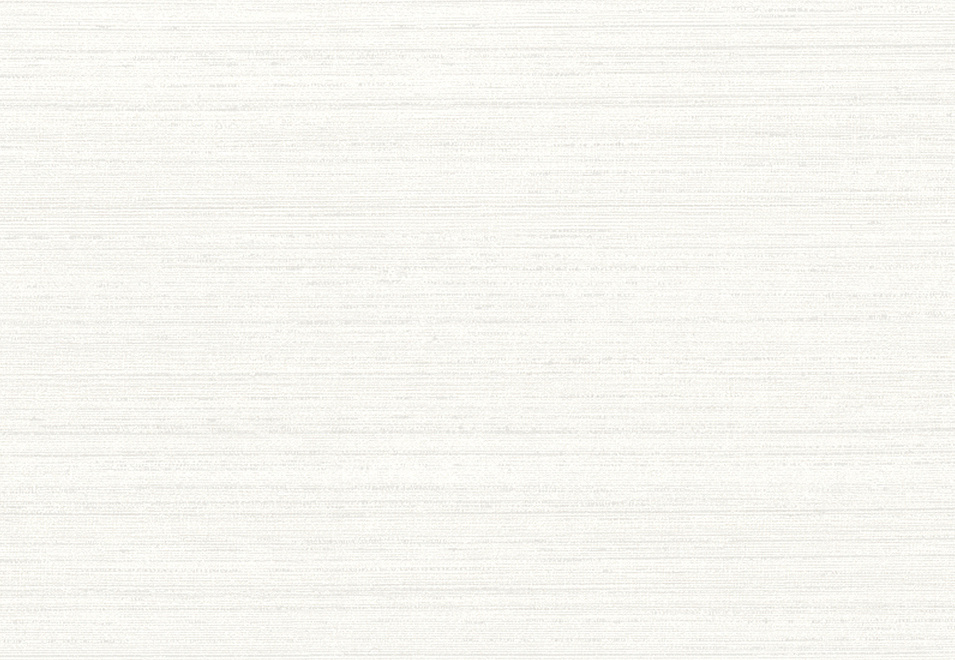 Обои Arte Silkx 67000