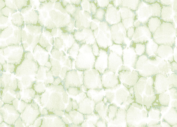 Обои Aura Evergreen 7316