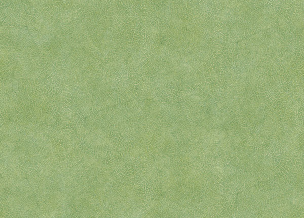 Обои Aura Evergreen 7333