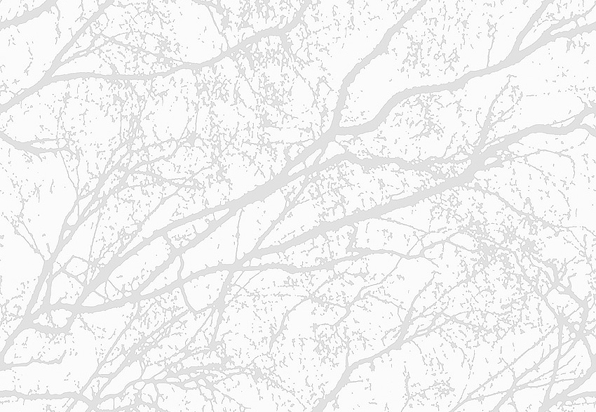 Обои Eco Decorama 2019 9318