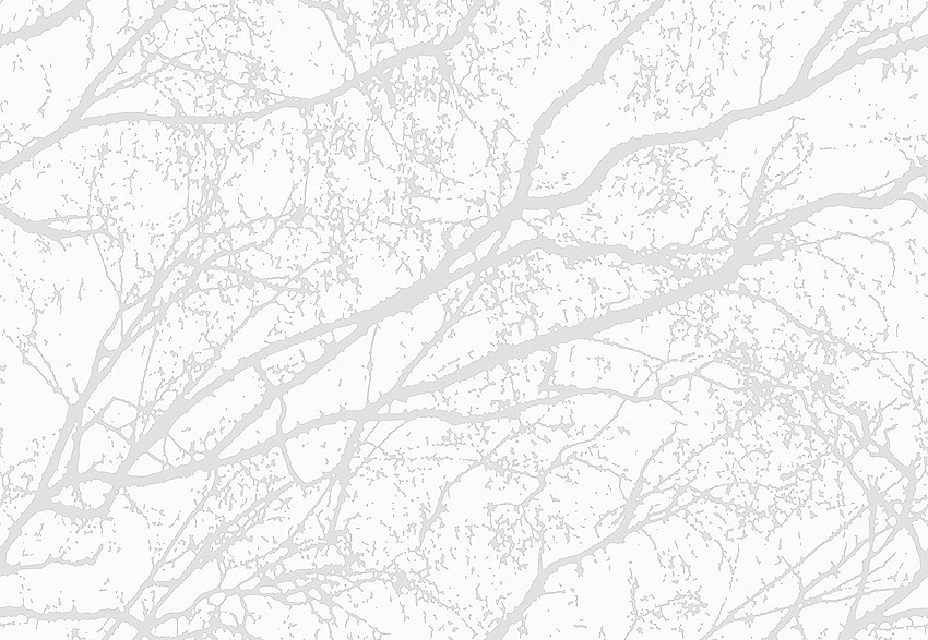 Обои Eco Decorama 2019 9318
