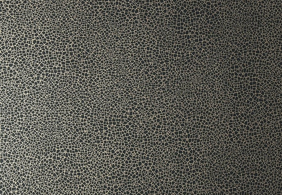 Обои 1838 Wallcoverings Elodie 1907-141-06