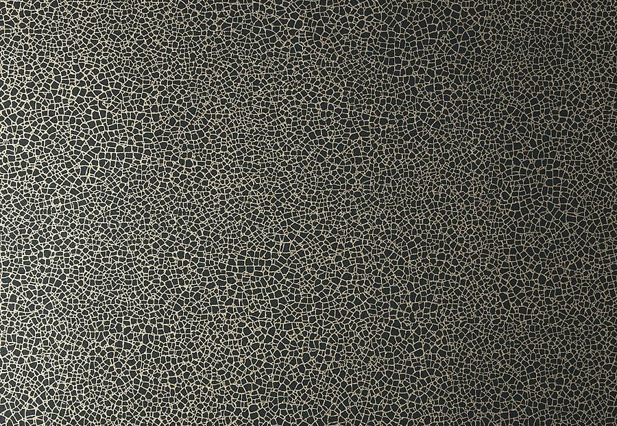 Обои 1838 Wallcoverings Elodie 1907-141-06