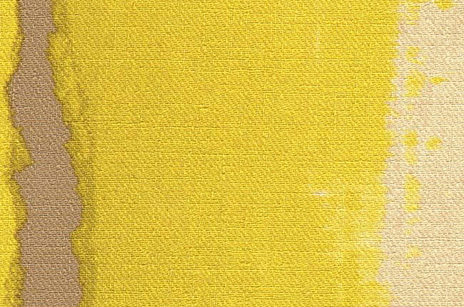 Обои Elitis Toile Peinte Colours and Prints VP47704