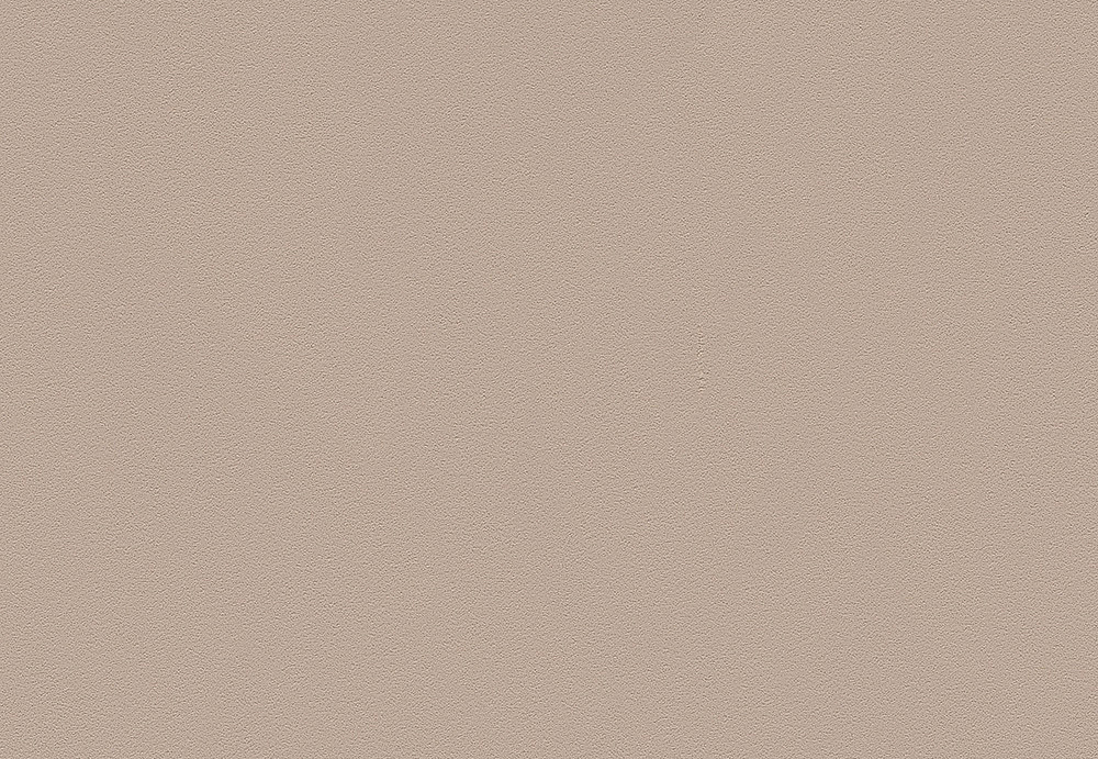 Обои A. S. Creation Die Glatte Wand 309167