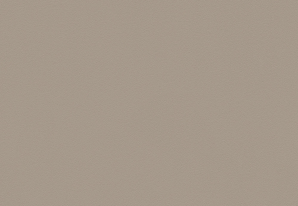 Обои A. S. Creation Die Glatte Wand 309525