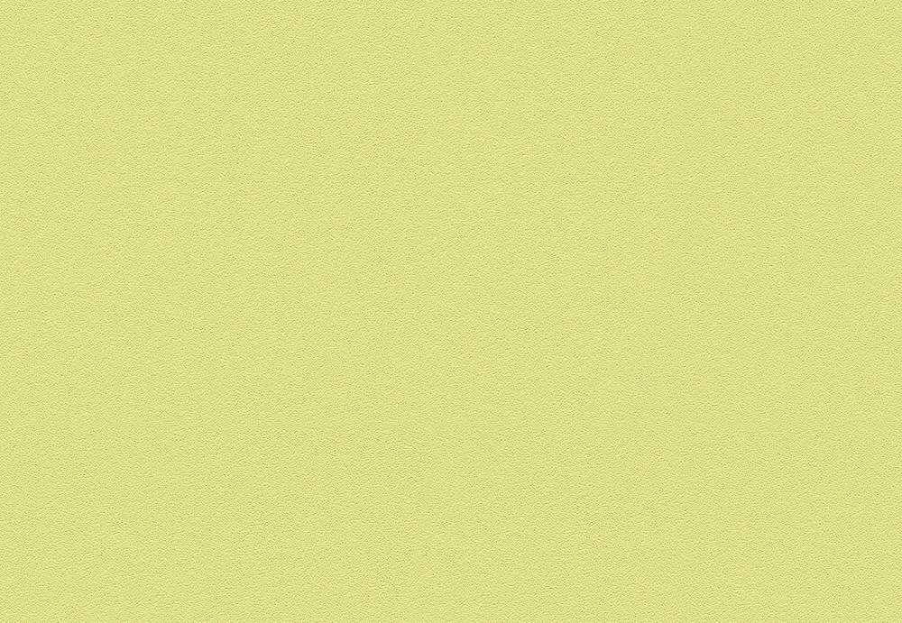 Обои A. S. Creation Die Glatte Wand 309556
