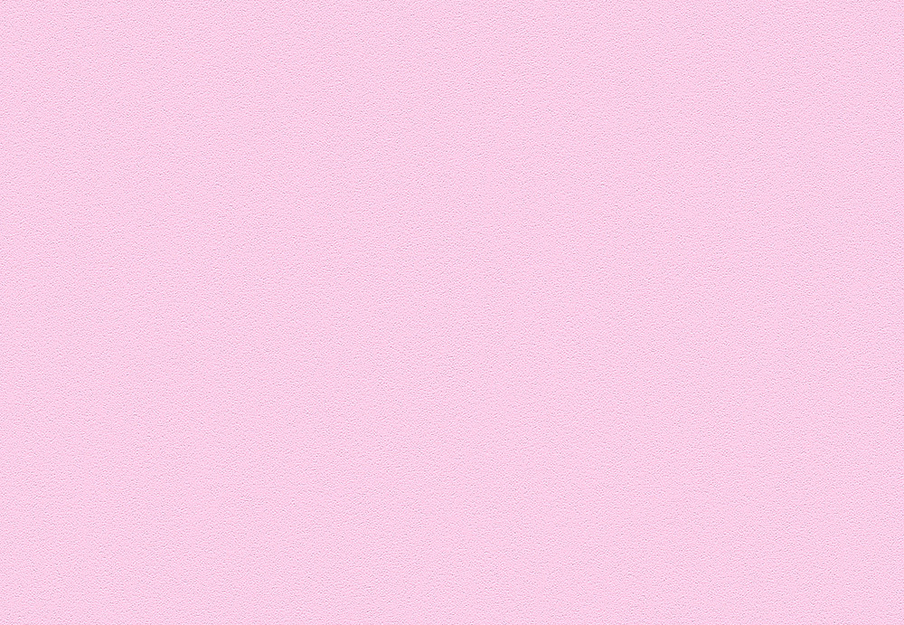 Обои A. S. Creation Die Glatte Wand 309563