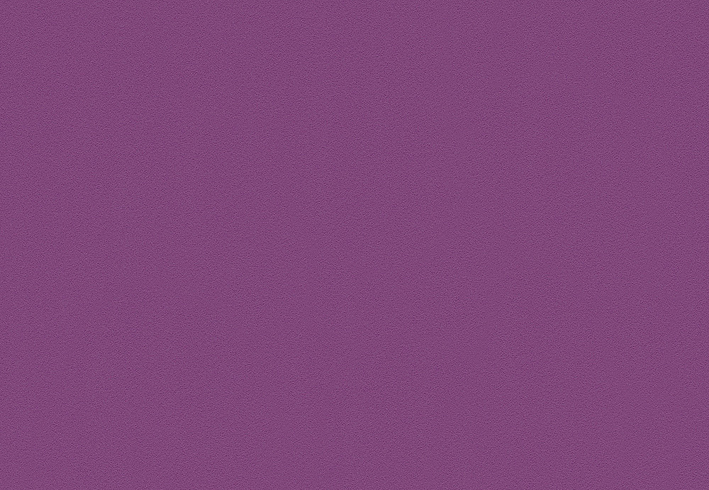 Обои A. S. Creation Die Glatte Wand 309570