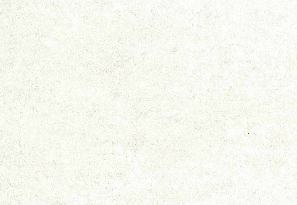 Обои Sirpi Alta Gamma Sempre 2 18536