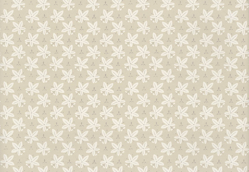 Обои Hamilton Weston Paradise Archive Collection PAUL03