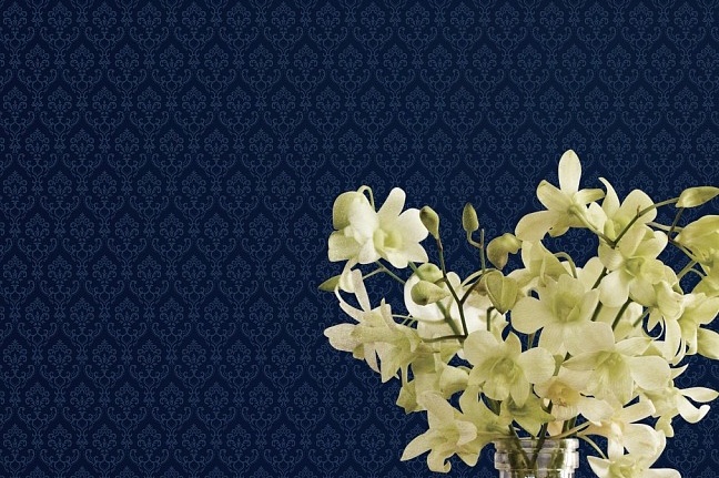 Обои Aura Silk Collection II SK34736