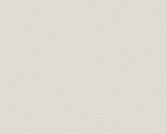 Обои Carl Robinson Edition 17 - Loft CR88001