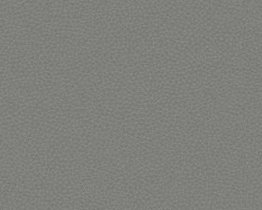 Обои Carl Robinson Edition 17 - Loft CR88002