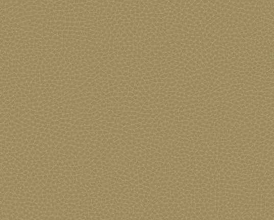 Обои Carl Robinson Edition 17 - Loft CR88005