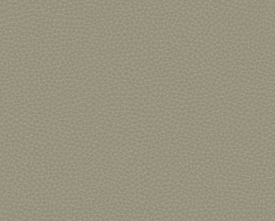 Обои Carl Robinson Edition 17 - Loft CR88006
