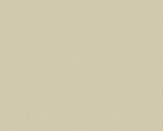 Обои Carl Robinson Edition 17 - Loft CR88007