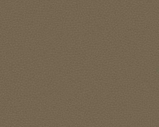 Обои Carl Robinson Edition 17 - Loft CR88016