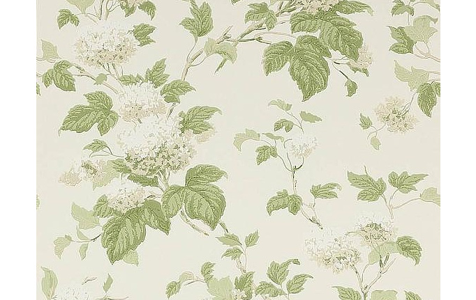 Английские обои Colefax and Fowler, коллекция Jardine Florals, артикул 07816/09