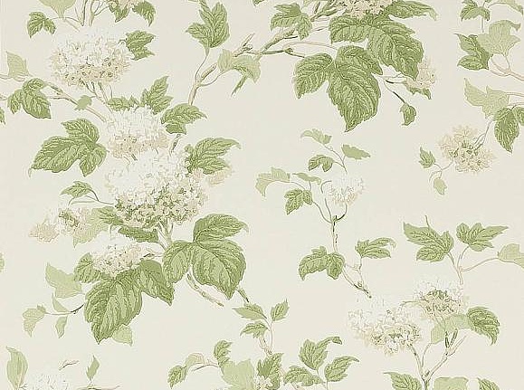 Обои Colefax and Fowler Jardine Florals 07816/09