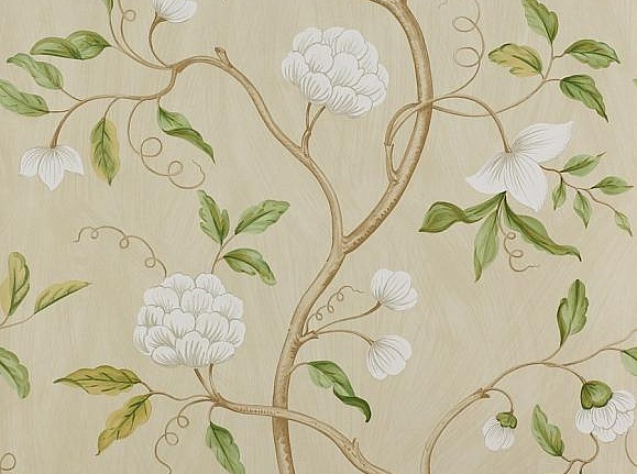 Обои Colefax and Fowler Jardine Florals 07949/01