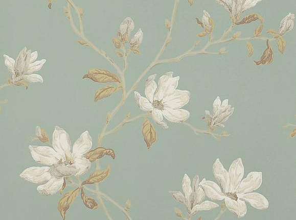 Обои Colefax and Fowler Jardine Florals 07976/07