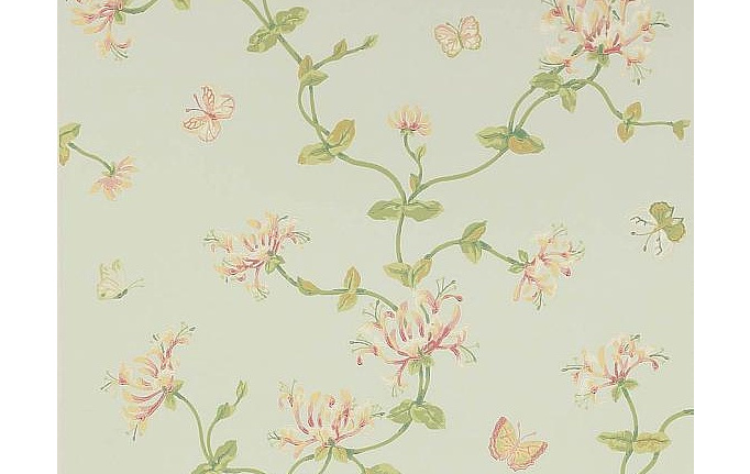 Английские обои Colefax and Fowler, коллекция Jardine Florals, артикул W7002/01
