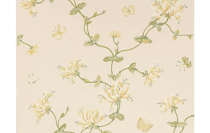 Английские обои Colefax and Fowler, коллекция Jardine Florals, артикул W7002/05