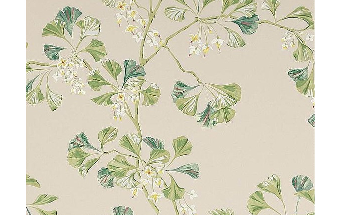 Английские обои Colefax and Fowler, коллекция Jardine Florals, артикул W7004/01