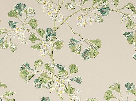 Обои Colefax and Fowler Jardine Florals W7004/01