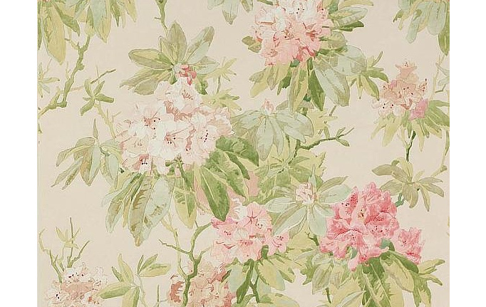 Английские обои Colefax and Fowler, коллекция Jardine Florals, артикул W7006/02