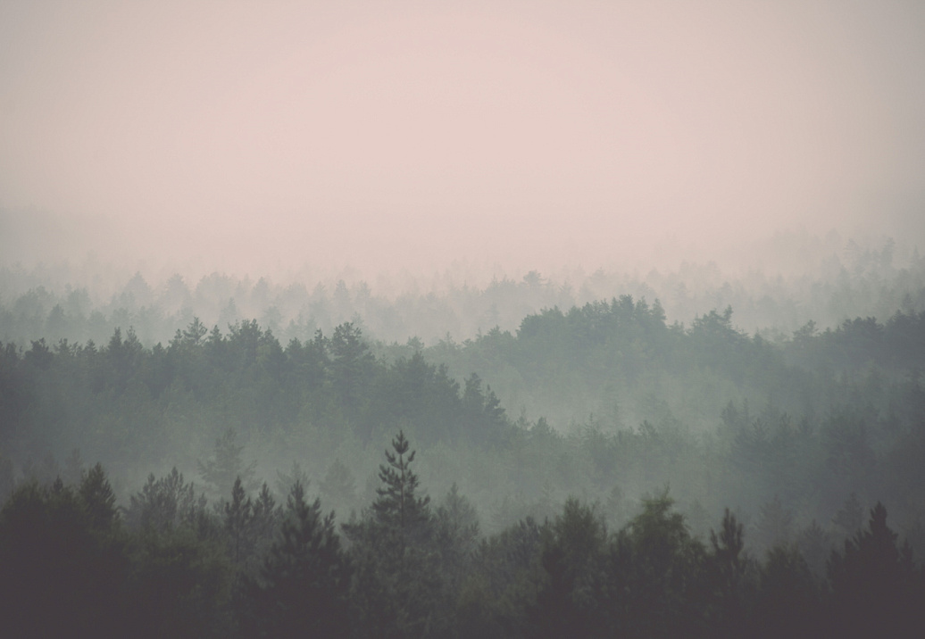 Панно и фотообои Hygge Wall Collection 3 H11051