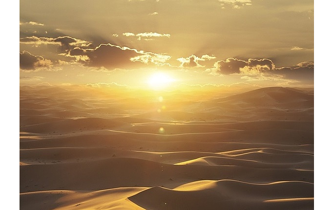 Немецкие обои Marburg, коллекция Dune, артикул 32545
